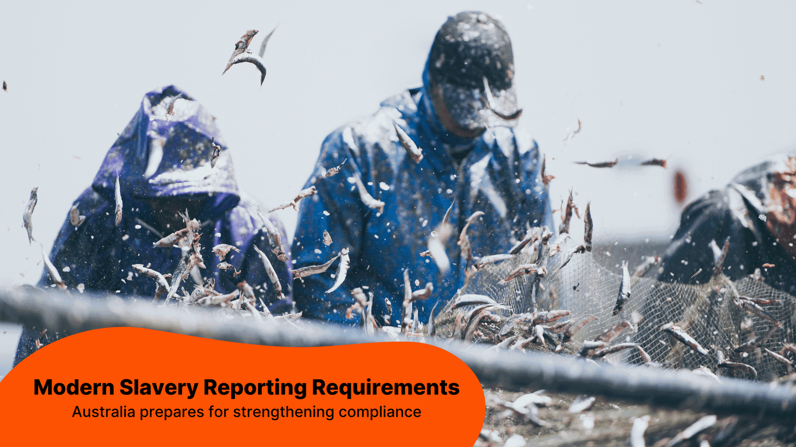 Modern Slavery Reporting Requirements in Australia
